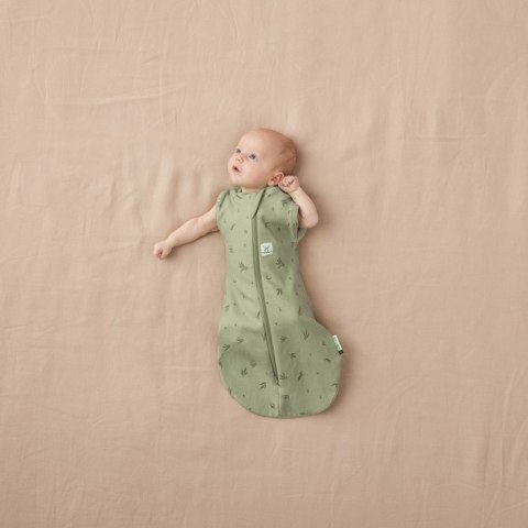 ErgoPouch Otulacz Śpiworek 3-6M 1.0TOG Willow ErgoPouch Otulacz Śpiworek 3-6M 1.0TOG Willow