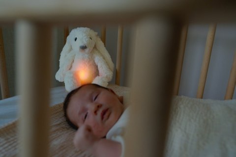 Zazu RO Szumiąca Lampka Nocna Królik White Zazu RO Szumiąca Lampka Nocna Królik White