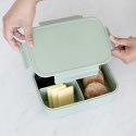 3 Sprouts Lunchbox Bento Green