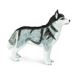 Safari Ltd. Figurka Pies Husky Syberyjski