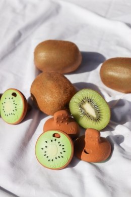 Oli & Carol Gryzak Mini Kiwi Jose Antonio the Kiwi