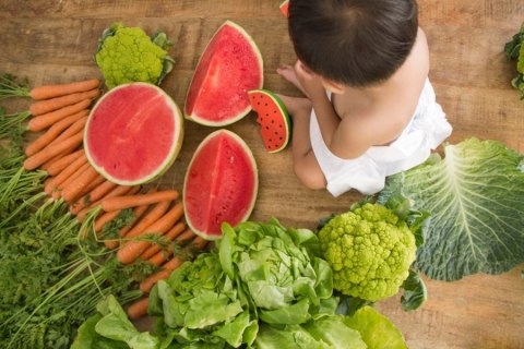 Oli & Carol Gryzak Zabawka Arbuz Wally Watermelon Oli & Carol Gryzak Zabawka Arbuz Wally Watermelon