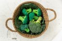 Oli & Carol Gryzak Zabawka Brokuł Brucy Broccoli Oli & Carol Gryzak Zabawka Brokuł Brucy Broccoli