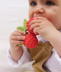 Oli & Carol Gryzak Zabawka Malina Valery Raspberry