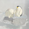 Oli & Carol Zabawka do Kąpieli Ice Animals Miś