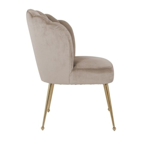 RICHMOND krzesło PIPPA KHAKI - welur, podstawa złota RICHMOND krzesło PIPPA KHAKI - welur, podstawa złota