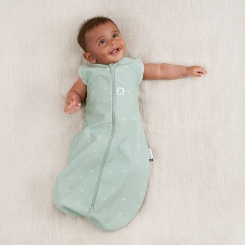 ErgoPouch Otulacz Śpiworek 0-3M 0.2TOG Sage ErgoPouch Otulacz Śpiworek 0-3M 0.2TOG Sage