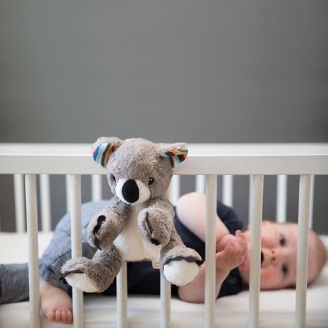 Zazu COCO Szumiąca Przytulanka Koala Zazu COCO Szumiąca Przytulanka Koala