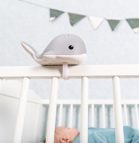 Zazu WALLY Projektor Wieloryb Pink Zazu WALLY Projektor Wieloryb Pink